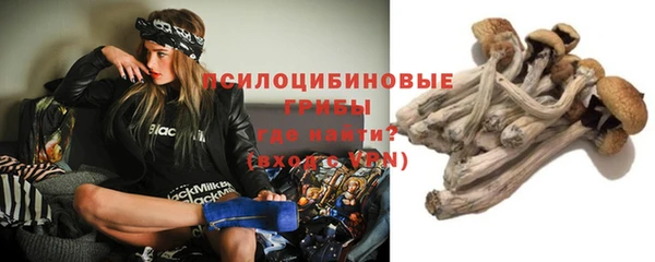 ALPHA PVP Алексеевка