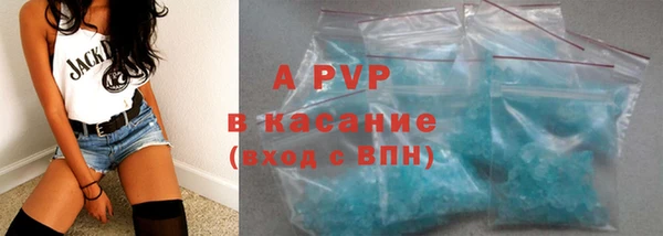 стаф Алексин