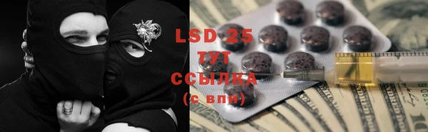 стаф Алексин