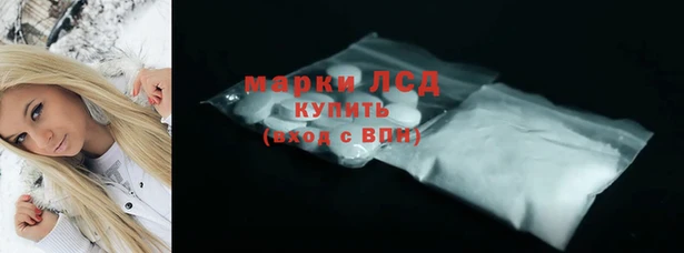 стаф Алексин
