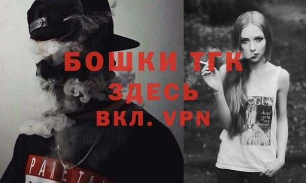 стаф Алексин