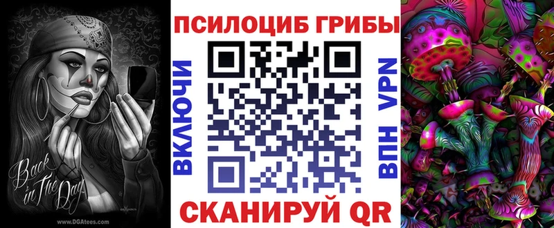 ОМГ ОМГ ссылки  Щигры  Псилоцибиновые грибы GOLDEN TEACHER 